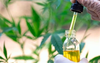 9 Benefis sante nan lwil CBD - ak efè segondè