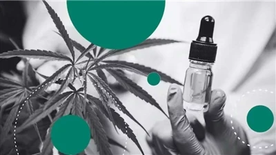 Chanv Vs CBD: Ki diferans ki genyen?