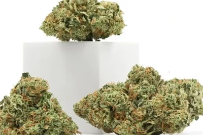 Poukisa CBD fè pou pi bon pom lèv natirèl yo